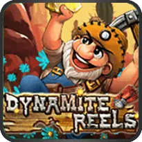 DYNAMITE REELS