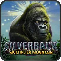 SILVER BACK MULTIPLIER MOUNTAIN