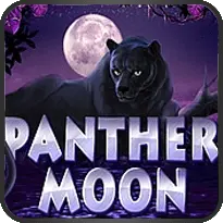 Panther Moon